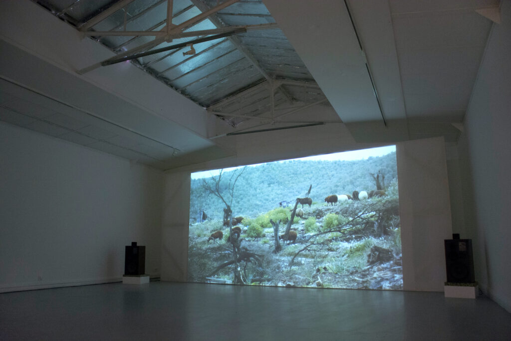 Trashes Feu la Nuit - exposition personnelle - Galerie du Crous, Paris.